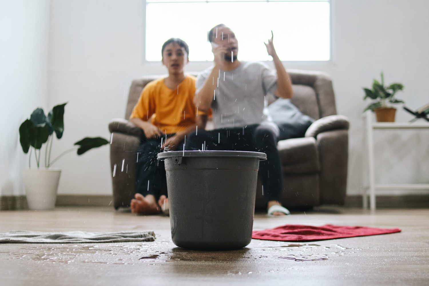 roof-leaking-in-living-room-2024-05-06-21-13-51-utc